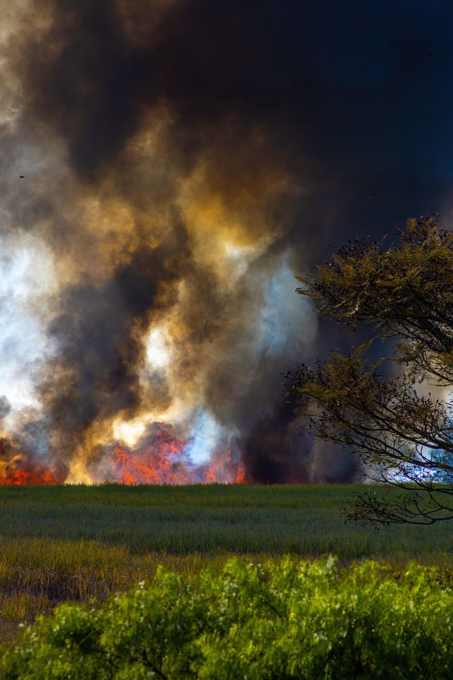 vape mod