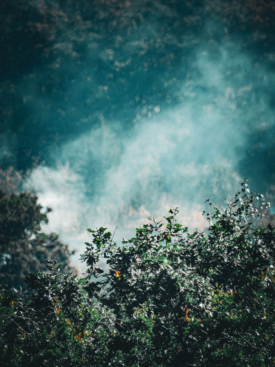 vape coil
