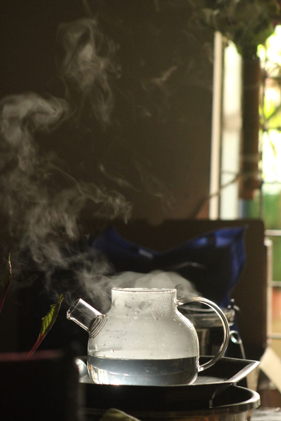 vape pod